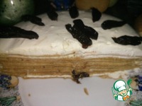 ���� �� �������� ������ �����������