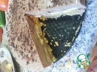 ���������-��������� ���� ��� ������� �����������