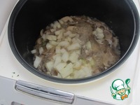 ��������� � �������� � ������������ �����������