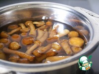 ���-����� � ������� � ������������ �������� �����������