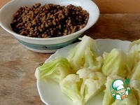 ������ �� �������� � ������� �������� �����������