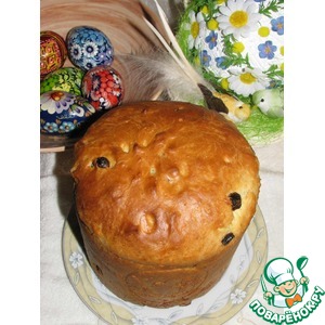 ����� "����������"