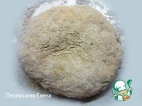 ���������� ���� "��������" �����������