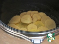 �����������-������� ��������� �����������