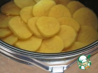 �����������-������� ��������� �����������