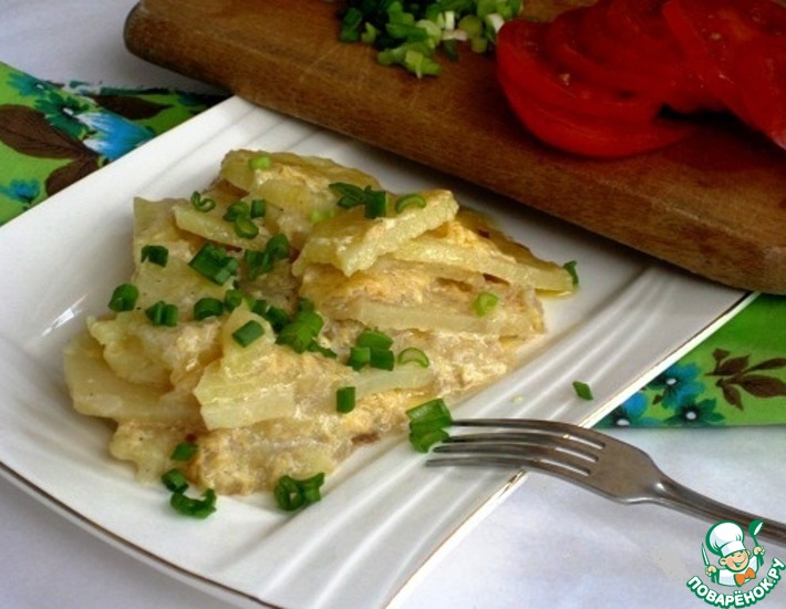 ������: �����������-������� ���������