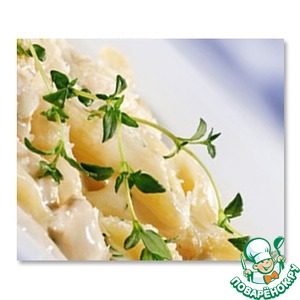 ����� � ������� � ������� � �����-��������� �����