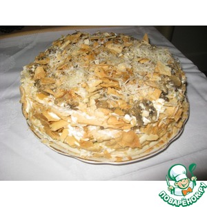 ���� "������� ��������"