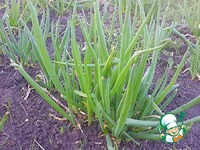 ������ �� ������ �����������