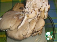 ������� ��������� � ����� �����������