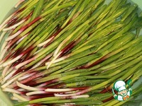 ����� �� ������� �����������