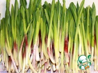 ����� �� ������� �����������