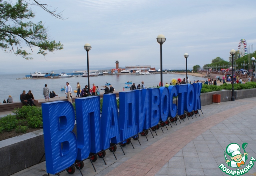 Панорама золотой рог. Достопримечательности владивосток 2022. Мой владивосток. Мой владивосток. Золотой мост владивосток.