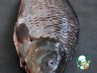 ������������� ���� � �������� ������� �����������