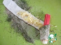 ��������� � ��������� ��������� � ����� �����������