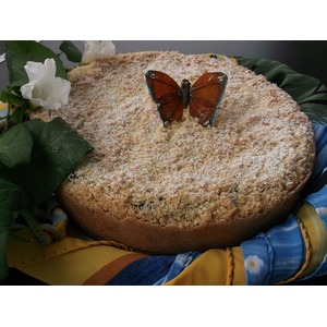 ����� "�������"