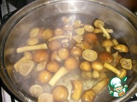 ������� � ������� �����������