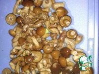 ������� � ������� �����������