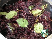 ���� �� ������ ��������� � ����� �����������