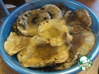 ��������� �����������