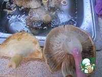 ��������� �����������