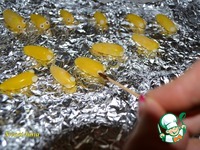 ������ �� ������� �����������