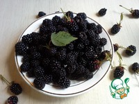 ��������-�������� ������ � ������� �����������