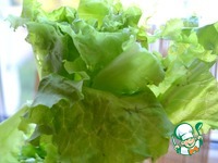 ���� "�������-������-������-�����" �����������