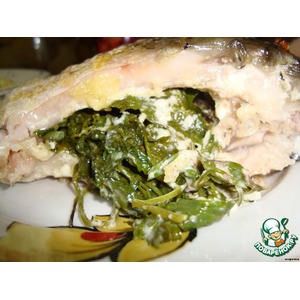 ���������� ����