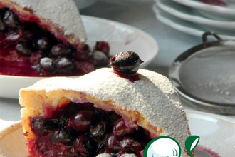 ������: ������ ����� � ������ ����������