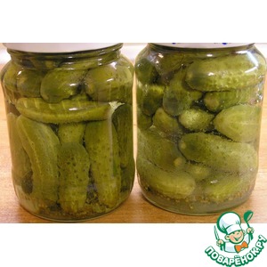 ������������ ������ ��-���������