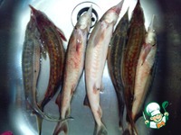 �������� �������� �����������