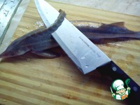 �������� �������� �����������