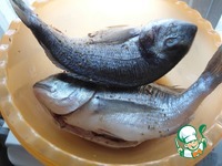 ������ � ������ ������ ����� �����������