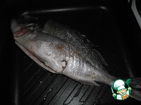 ������ � ������ ������ ����� �����������