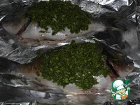 ������ � ������ ������ ����� �����������