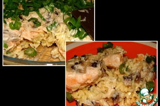 ������: ���� ��-����������