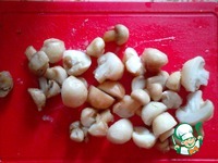 ������ � ������� � ������� "����� ����" �����������