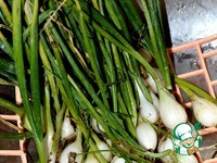 ������������ ��������� ��� �����������