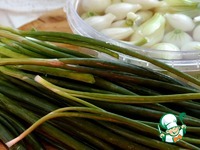 ������������ ��������� ��� �����������