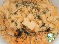 �����-������� ������ � ����� ����� �����������