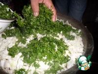 ����� � ��������� � �������� � ������ �����������