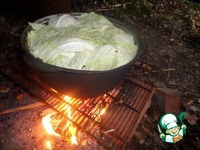 ����� � ��������� � �������� � ������ �����������