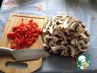 ��������-��������� � �������� � ������� �����������