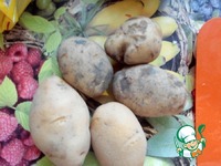 ������ ��� � ���������� � ����������� �����������