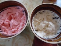 ���� �������-��������� �����������