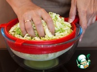 ���������� ���� �����������