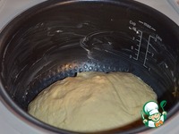 ���� �������-������� � ��� �����������