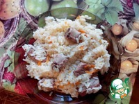 ���� � ����������� �����������