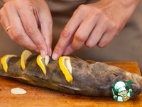 ������, ���������� � ������� �����������